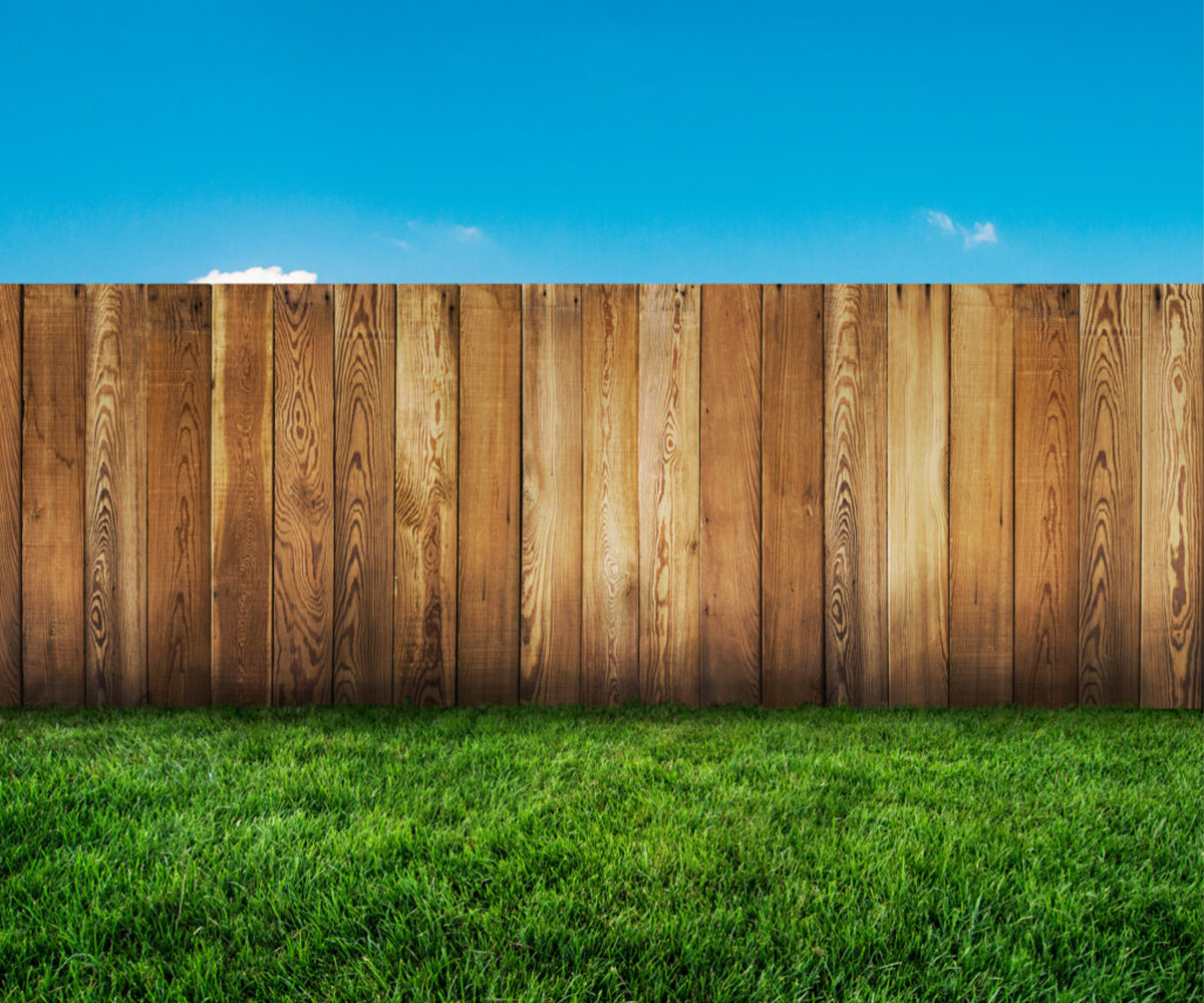 Tall wooden backyard fence with vertical planks and lush green grass under a clear blue sky.